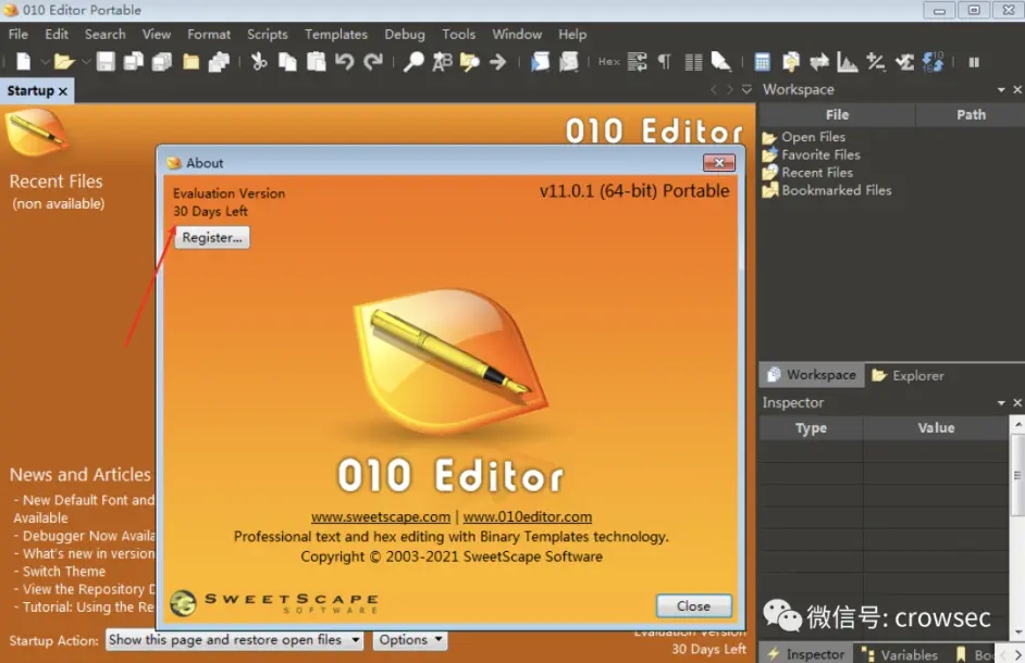 十六进制编辑器(010 Editor) v9.0.2中文版64位